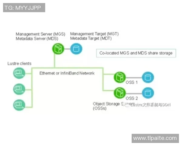 独家分析：WE的配合对比
